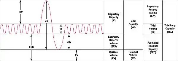 Output of a 'spirometer'