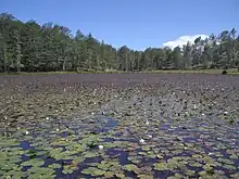 Lurë-Dejes Mt National Park