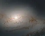 Core of galaxy M109, Hubble image captured by Wide Field Camera 3