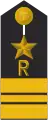 Kapitänleutnant der Reserve(Captain-lieutenant reservist)