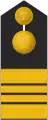 Stabskapitänleutnant(military geographical service)