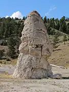 Liberty Cap