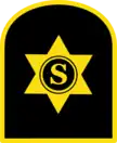 Maritime Support Category Badge for the ANC.