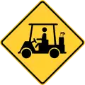 W11-11Golf cart