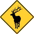 W11-20Elk