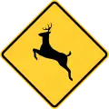 W11-3Deer