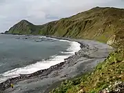 A Macquarie Island beach