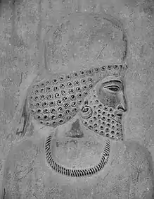 Relief of a Median man at Persepolis.