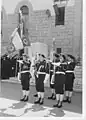 Flag guard of the chasseurs alpins (1970)