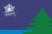 Maine Bicentennial Flag with off-center tree and lower blue field to give the feeling of looking out from the forest over water.