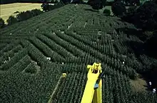 A photograph above a corn field, which has been grown with etchings for people to wander in.