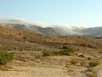 Clouds tumble over the cliff edges that surround a patch of desert; a few small shrubs sprout from the dry earth.