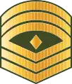 ފަސްޓް ސާރޖަންޓްFast saarjant(Maldives National Defence Force)