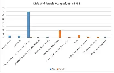 Male and Female Occupation in 1881