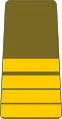 Commandant(Guinea Ground Forces)