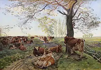 Milking at Dyrehavegård,near Kolding