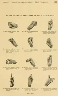 Types of hand positions in sign language. Positions A through L. A: Fist, palm outward, horizontal. B: Fist, back outward, oblique upward. C: Clinched, with thumb extended against forefinger, upright, edge outward. D: Clinched, ball of thumb against middle of forefinger, oblique, upward, palm down. E: Hooked, thumb against end of forefinger, upright, edge outward. F: Hooked, thumb against side of forefinger, oblique, palm outward. G: Fingers resting against ball of thumb, back upward. H: Arched, thumb horizontal against end of forefinger, back upward. I: Closed, except forefinger crooked against end of thumb, upright, palm outward. J: Forefinger straight, upright, others closed, edge outward. K: Forefinger obliquely extended upward, others closed, edge outward. L: Thumb vertical, forefinger horizontal, others closed, edge outward.