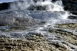 Travertine Terrace