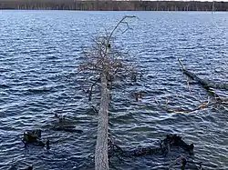 Manasquan Reservoir