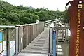 Mangrove Boardwalk