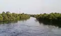 Mangrove Garden, Wadala East