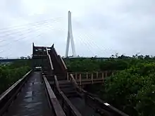 Wooden boardwalk surrounded by mangrove trees leading up to a bird watching hut. In the background you can see the white column of a bridge with wires coming out of either side.