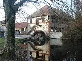 Mill