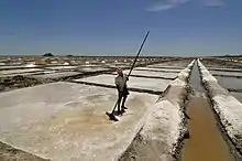 Sea-salt pans in Marakkanam in Tamil Nadu, India