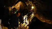 Tourists looking in different directions, while standing on an elevated wooden walkway surrounded by darkness in a cave.