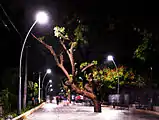 Marine Walkway at night