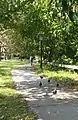 Walking path along the salt marsh