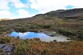 Marshes in Ocetá