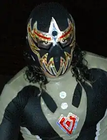 Masked wrestler Máscara Dorada during a match.