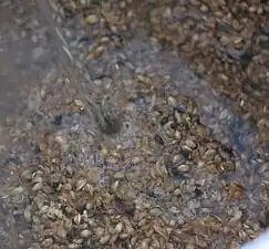 Barley grains being mashed (heated with water) for brewing beer