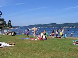 A grassy area with many picnickers, with a large lake in the background