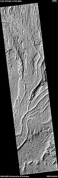 Inverted channels in Aleolis Planum  NASA comments on these thusly: "These likely represent ancient, meandering river channels that flowed across the surface and buried themselves over time. The channels have subsequently been exposed to the surface by the wind, forming the cross-cutting ridges."