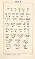 Archaic Sinhala numerals from Plate III of Gunasekera's A Comprehensive Grammar of Sinhalese Language.