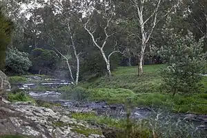 Merri Creek at Lake Reserve Coburg in April 2021