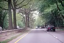 Trees in the center of the Merritt Parkway road