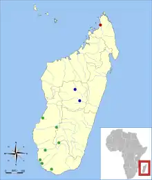 Map of Madagascar, off the southeast coast of Africa, with one red dot in the extreme north of the island, two blue dots near the middle, and seven green dots in the southwest and west parts of the island.