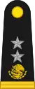 General de brigada(Mexican Army)