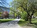 Miklošičev park, Ljubljana (1908)