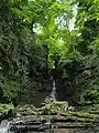 Mill Gill Force