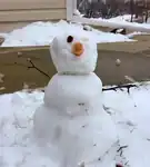 Mini snowman with baby carrot for a nose, raisins for eyes, and twigs for arms