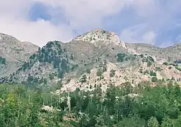 Munella Mountain, Mirdita