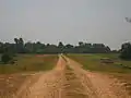 Mississippi River levee road in Tensas Parish near St. Joseph