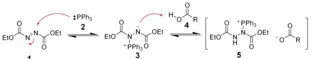 The initial stages of the mechanism proposed for the Mitsunobu reaction.