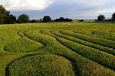 The mizmaze, probably cut between 1647 and 1710