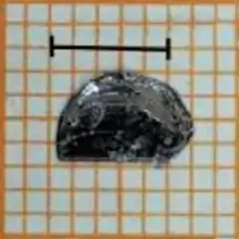 Molybdenum ditelluride