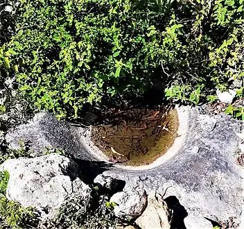 Old molcajete, probably pre-Hispanic made in a stone in situ, municipality of San Miguel Achiutla, Oaxaca, Mexico